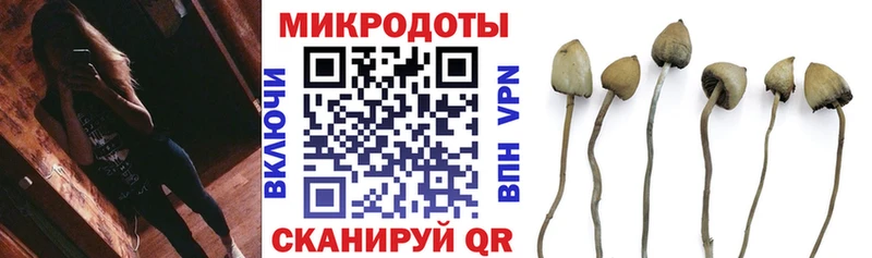 цены наркотик  OMG маркетплейс  Псилоцибиновые грибы Psilocybine cubensis  Горячий Ключ 